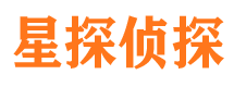 凌河侦探公司